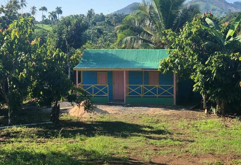 تختخواب و صبحانه Rolando Share Apart