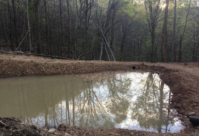 Country Road House And Berries Bed & Breakfast   Farm Stay