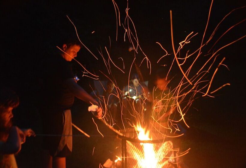 Country Road House And Berries Bed & Breakfast   Farm Stay