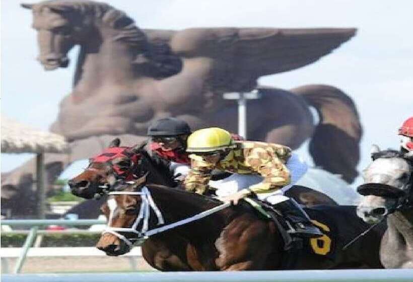 فندق Bposhtels Hollywood Florida