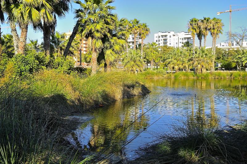 호텔 Myflats Brisas Del Sur