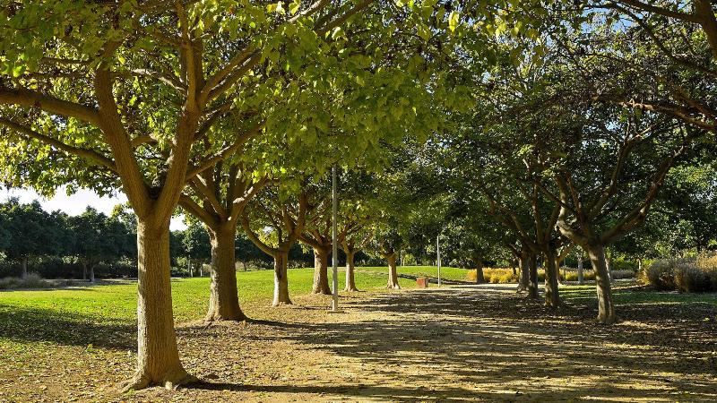 호텔 Myflats Brisas Del Sur