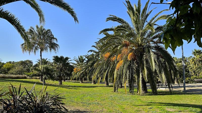 호텔 Myflats Brisas Del Sur