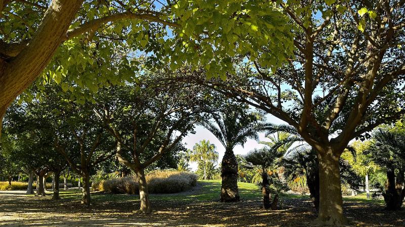 호텔 Myflats Brisas Del Sur