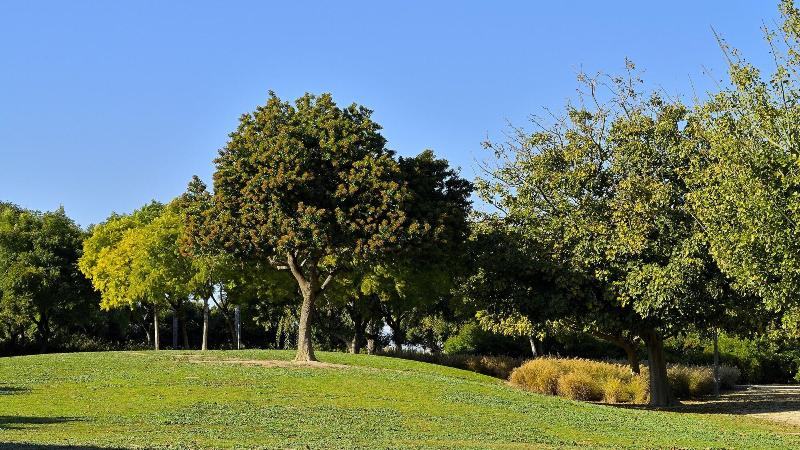 호텔 Myflats Brisas Del Sur