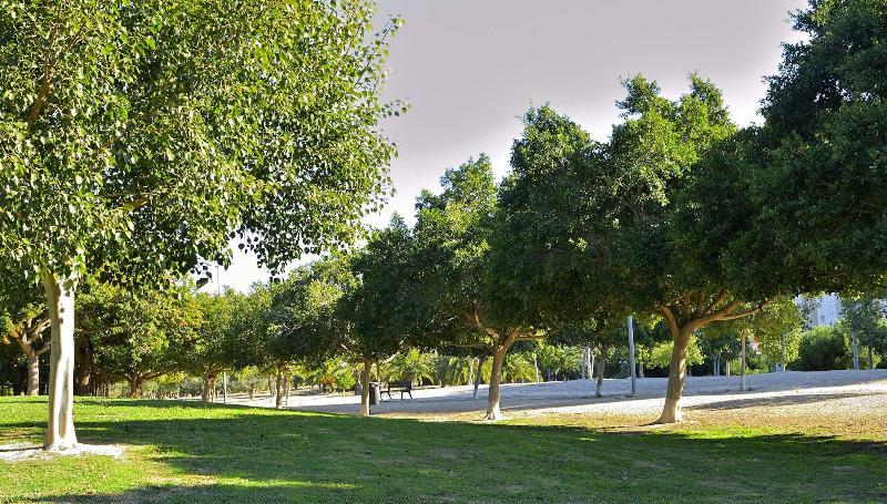 호텔 Myflats Brisas Del Sur