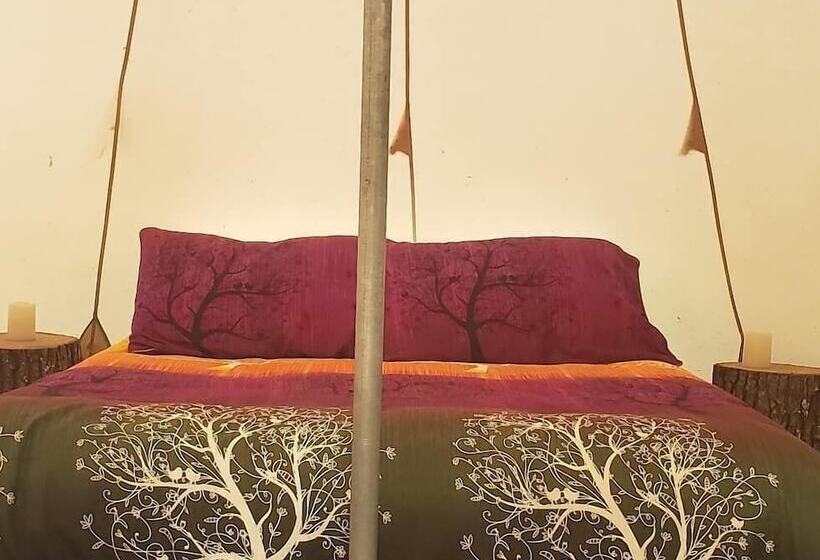 호텔 Sassy Springs Retreat