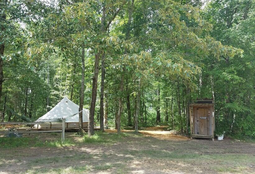 ホテル Sassy Springs Retreat