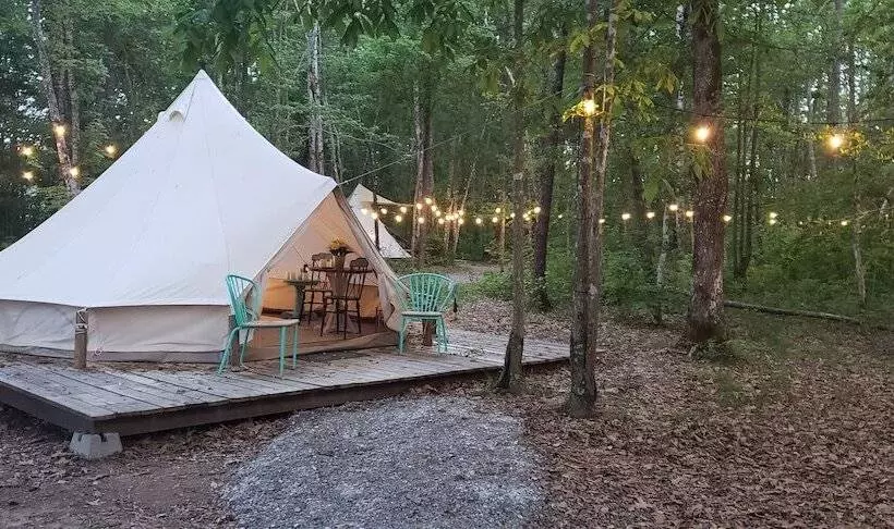 ホテル Sassy Springs Retreat