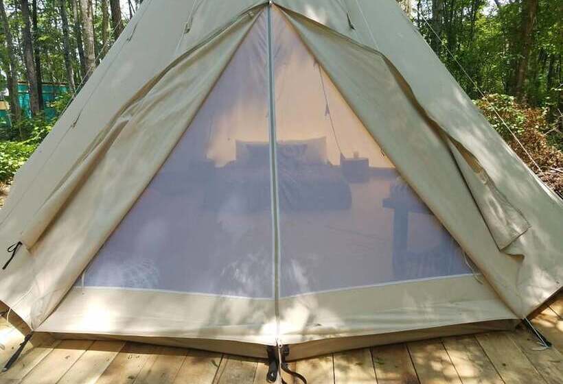 호텔 Sassy Springs Retreat