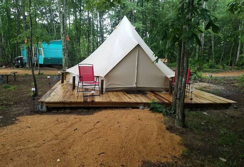 ホテル Sassy Springs Retreat