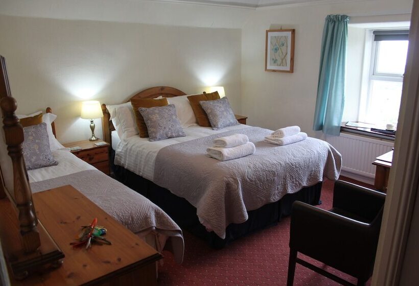 Pensão Bryn Eisteddfod B&b