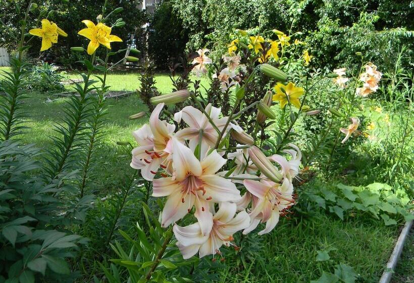 The Chandler House Bed And Breakfast