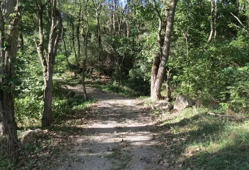 Zion Retreat & Rv Park