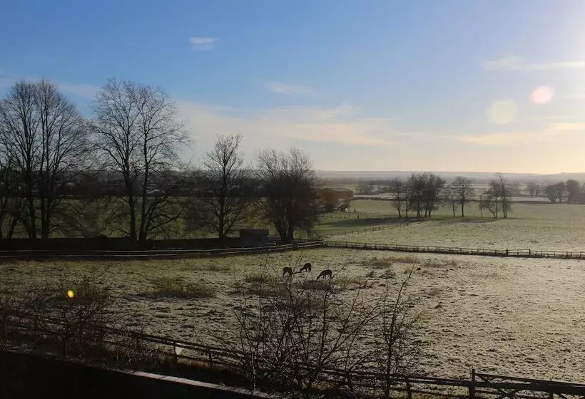 تختخواب و صبحانه The Swallows