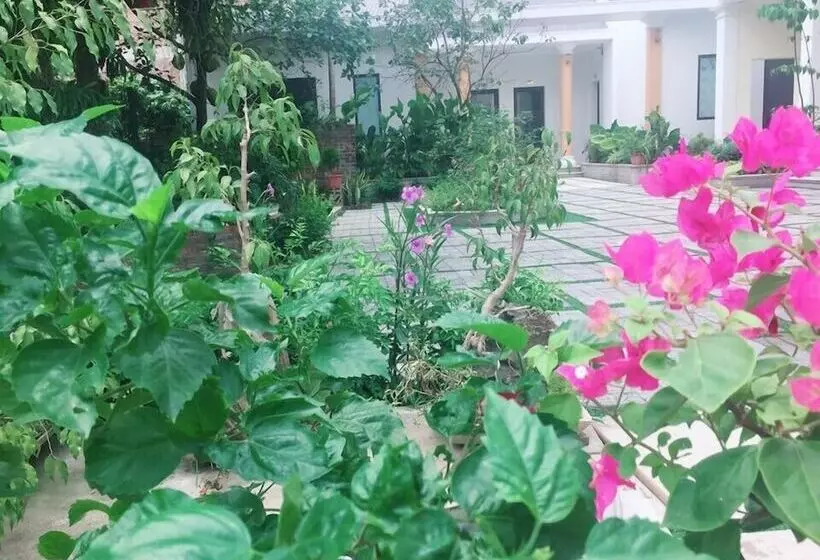 هتل Tam Coc Minh Gia Homestay