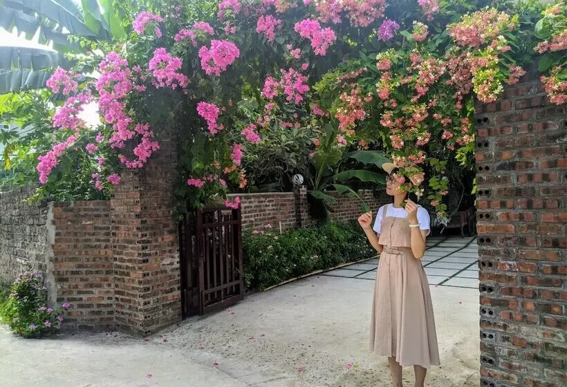 هتل Tam Coc Minh Gia Homestay