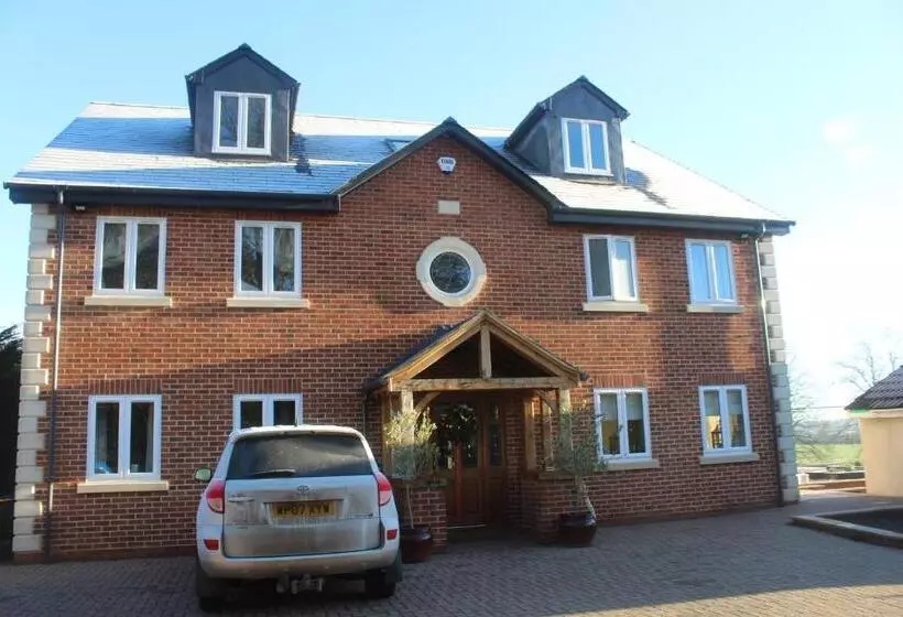 تختخواب و صبحانه The Swallows