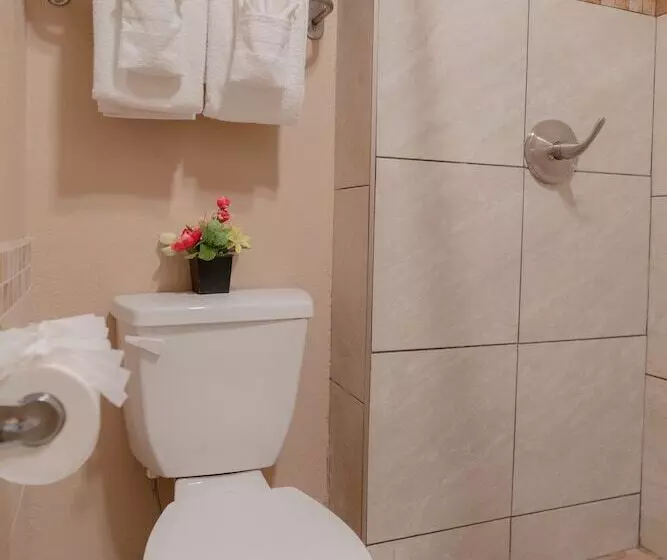 ホテル Baja San Diego   A Boutique