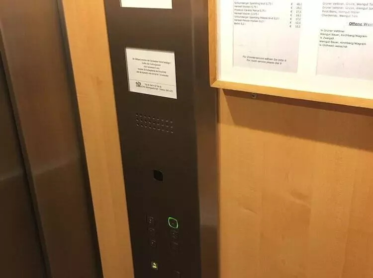 호텔 Goldene Spinne