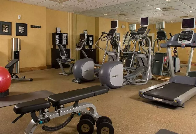 Otel Hilton Garden Inn Atlanta Airport/millenium Center