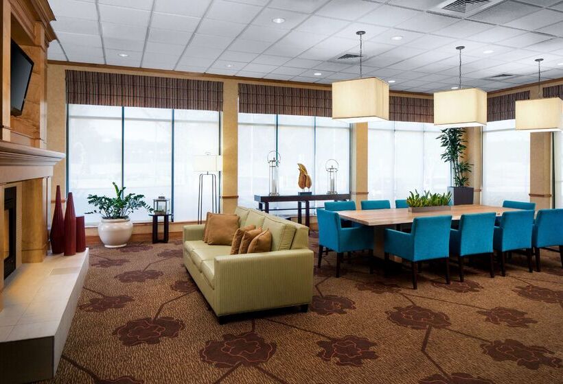 فندق Hilton Garden Inn Atlanta Airport/millenium Center