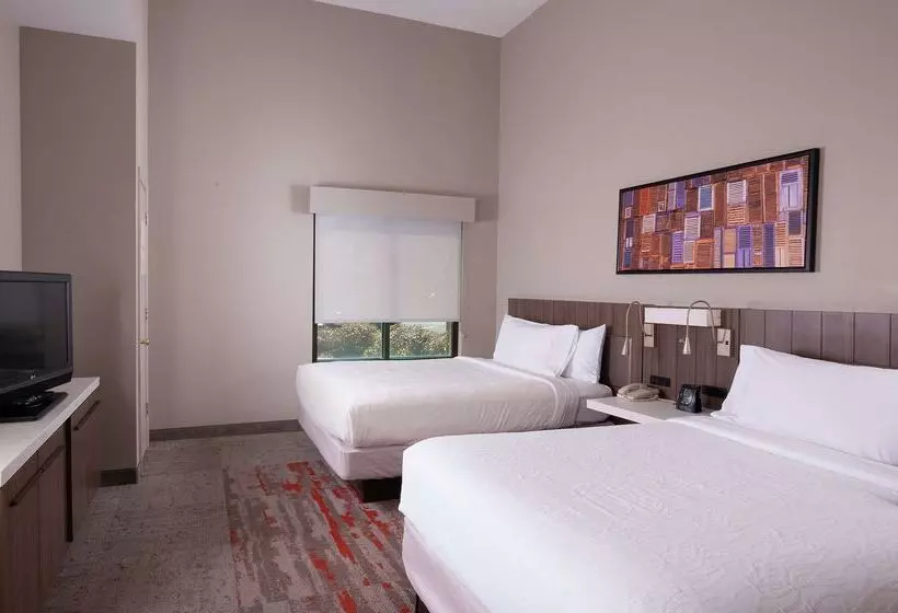 Otel Hilton Garden Inn Atlanta Airport/millenium Center