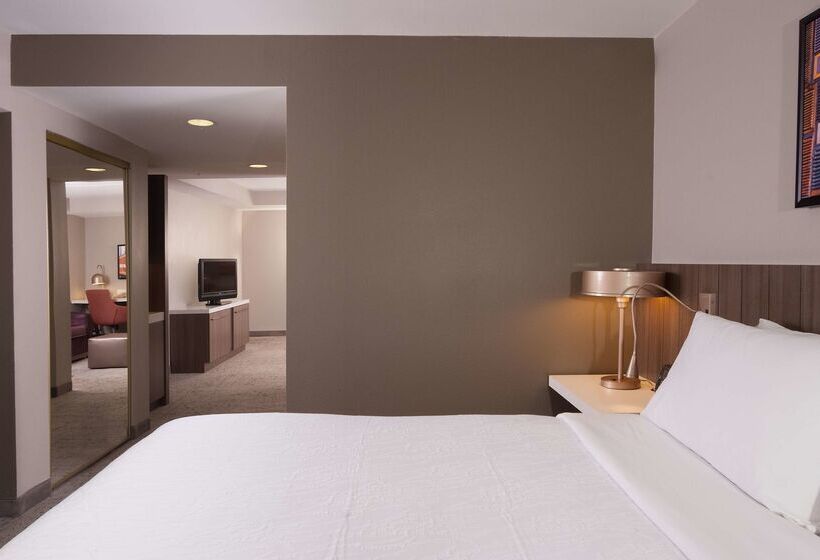 فندق Hilton Garden Inn Atlanta Airport/millenium Center