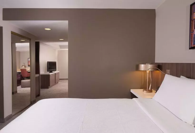 Otel Hilton Garden Inn Atlanta Airport/millenium Center