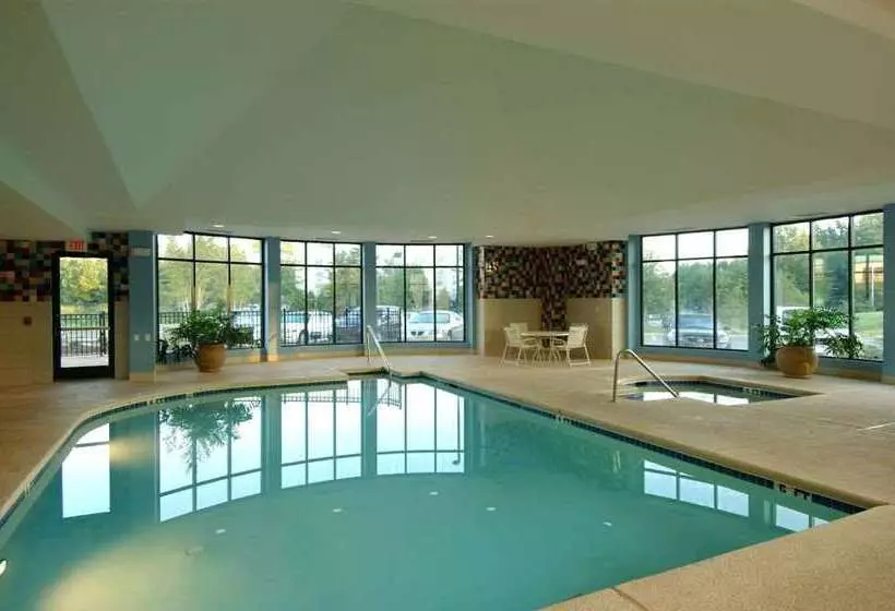 Otel Hilton Garden Inn Atlanta Airport/millenium Center