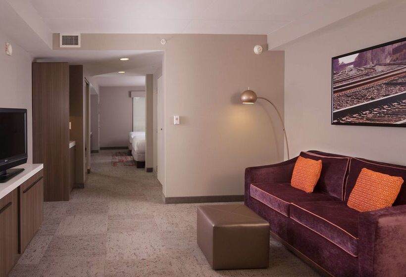 فندق Hilton Garden Inn Atlanta Airport/millenium Center