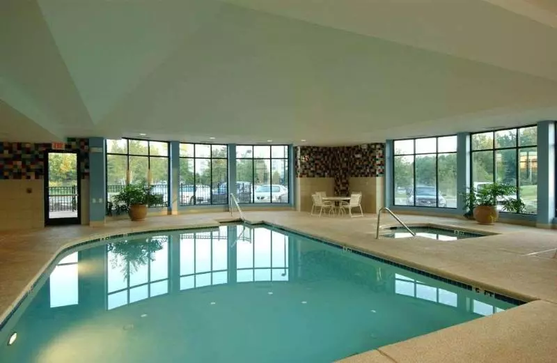 Otel Hilton Garden Inn Atlanta Airport/millenium Center