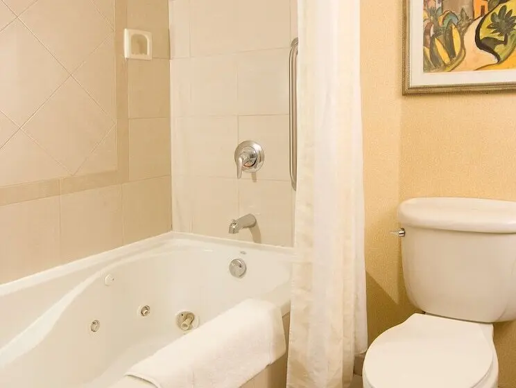 هتل Hilton Garden Inn Atlanta Airport/millenium Center