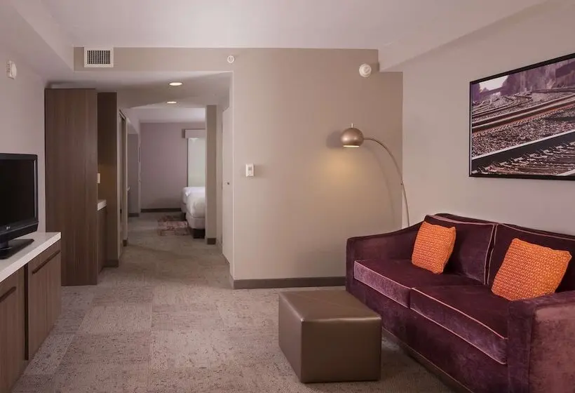 هتل Hilton Garden Inn Atlanta Airport/millenium Center