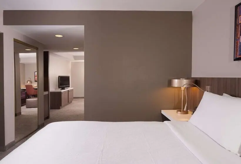 هتل Hilton Garden Inn Atlanta Airport/millenium Center