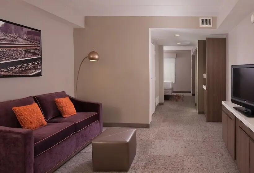 هتل Hilton Garden Inn Atlanta Airport/millenium Center