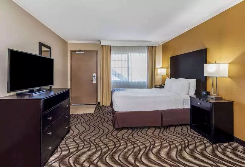 酒店 La Quinta By Wyndham Carlsbad Legoland Area