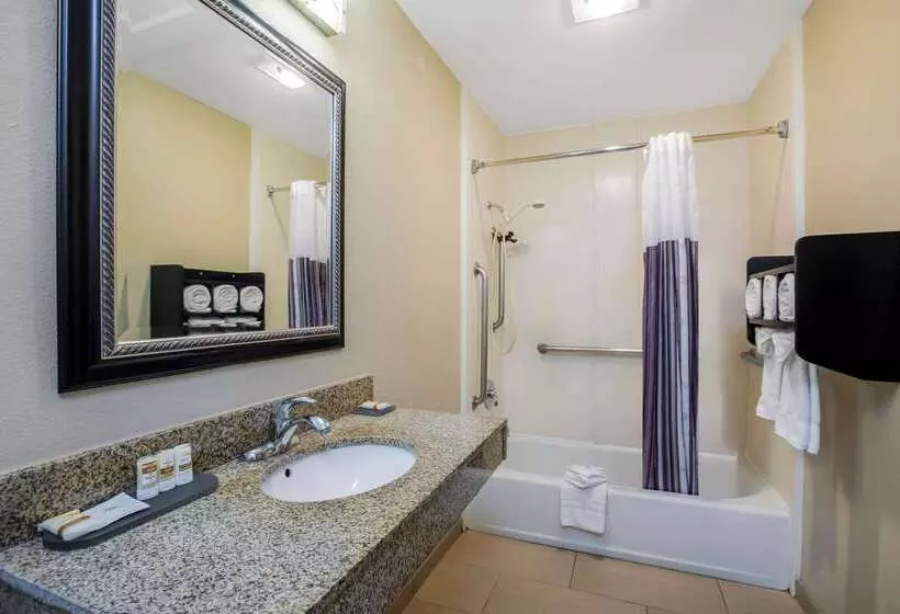 酒店 La Quinta By Wyndham Carlsbad Legoland Area