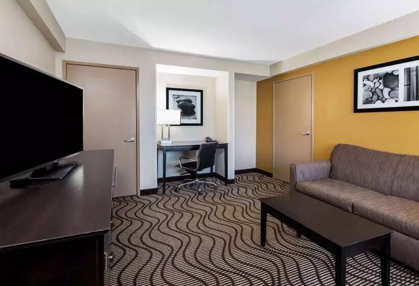 酒店 La Quinta By Wyndham Carlsbad Legoland Area