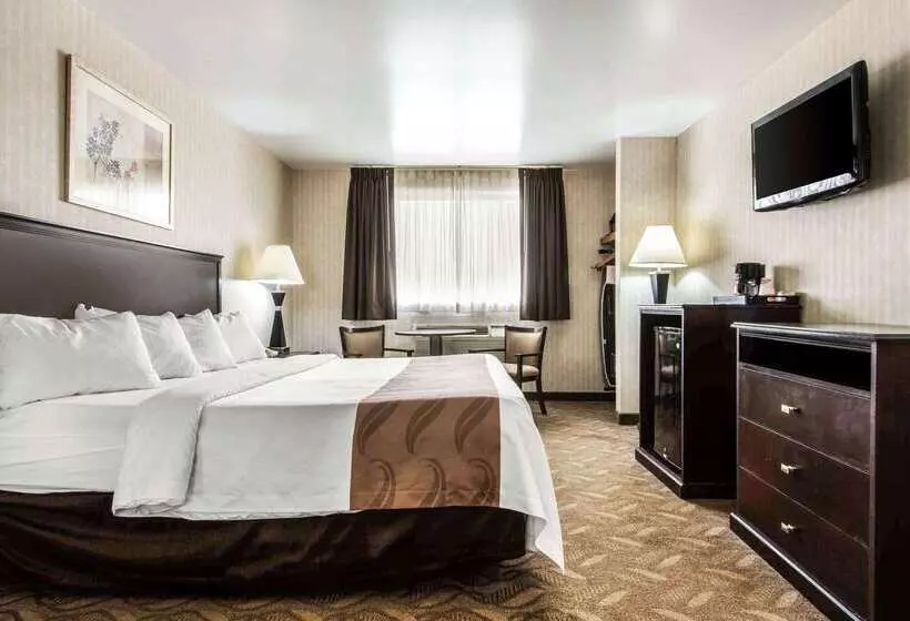 Otel Quality Inn   Niagara Falls Blvd