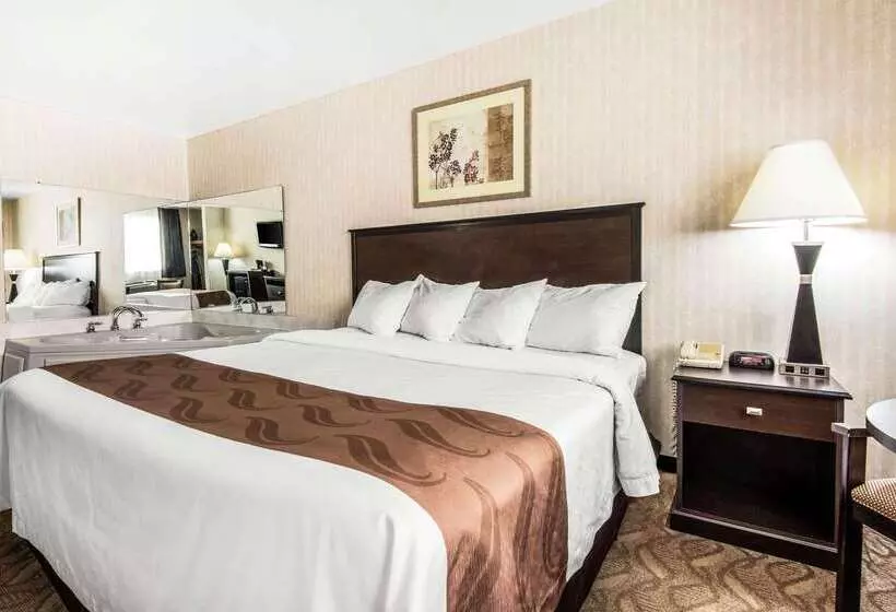 Otel Quality Inn   Niagara Falls Blvd