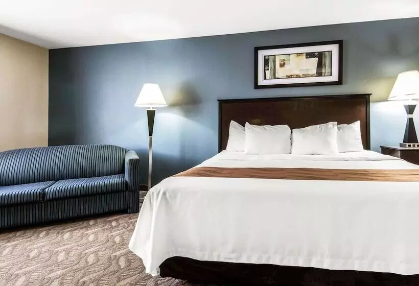 Otel Quality Inn   Niagara Falls Blvd