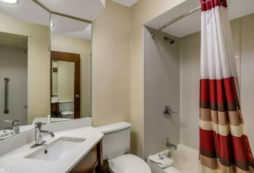 酒店 Red Roof Inn Nashville Music City