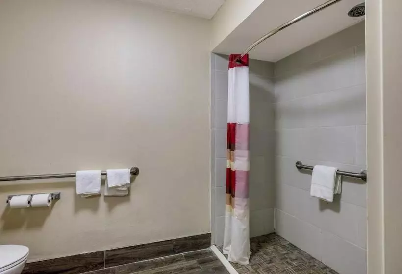 酒店 Red Roof Inn Nashville Music City