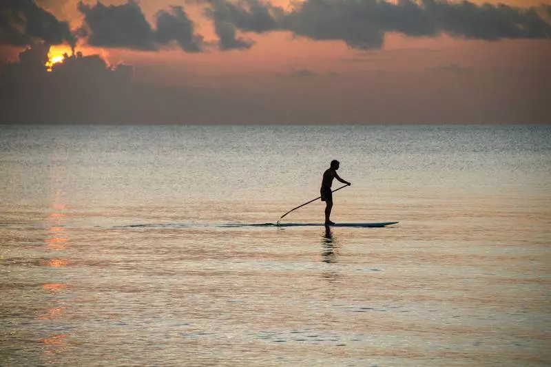 فندق Renaissance Fort Lauderdale Cruise Port