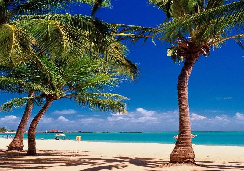 فندق San Marino Suite