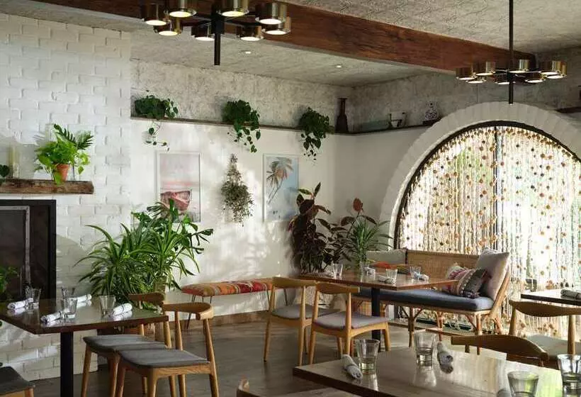 酒店 The Leta Santa Barbara Goleta, Tapestry Collection by Hilton