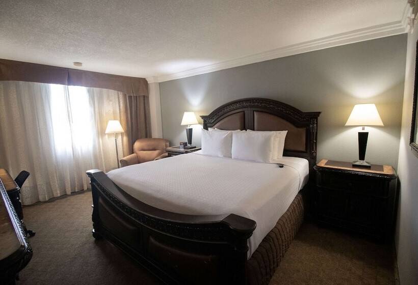 فندق Wyndham Houston Near Nrg Park   Medical Center