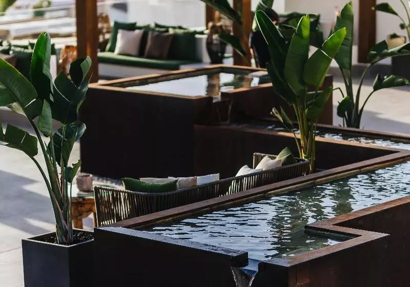 Ohasis Boutique Suites