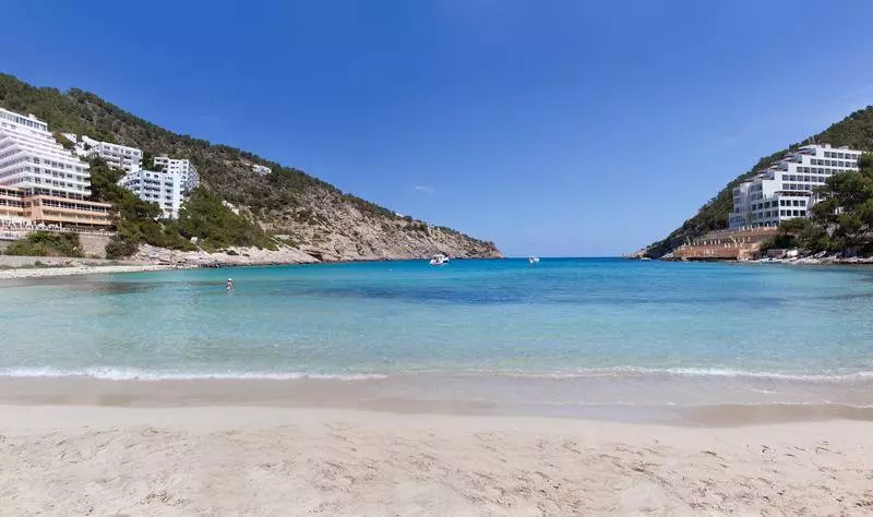 Typic Oasis Sa Tanca